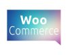 Les avantages d’utiliser le plugin WooCommerce Plugin WooCommerce